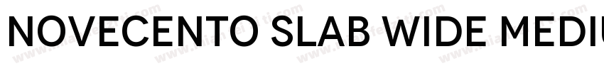 Novecento slab wide Medium字体转换